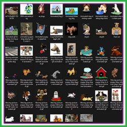 PLR GIF Images-2025